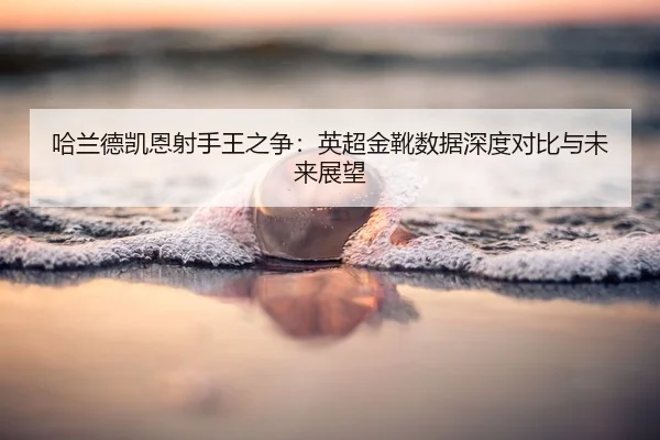 ha-lan-de-kai-en-she-shou-wang-zhi-zheng-ying-chao-jin-xue-shu-ju-shen-du-dui-bi-yu-wei-lai-zhan-wang-2-998.jpg