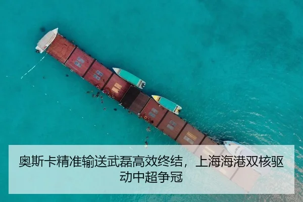 ao-si-ka-jing-zhun-shu-song-wu-lei-gao-xiao-zhong-jie-shang-hai-hai-gang-shuang-he-qu-dong-zhong-chao-zheng-guan-3-248.jpg