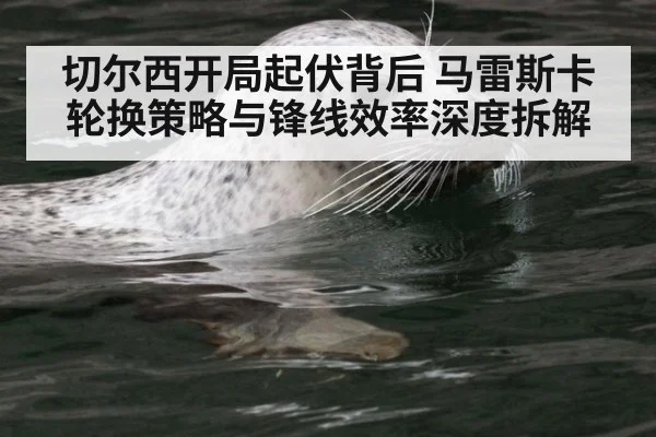 切尔西开局起伏背后 马雷斯卡轮换策略与锋线效率深度拆解